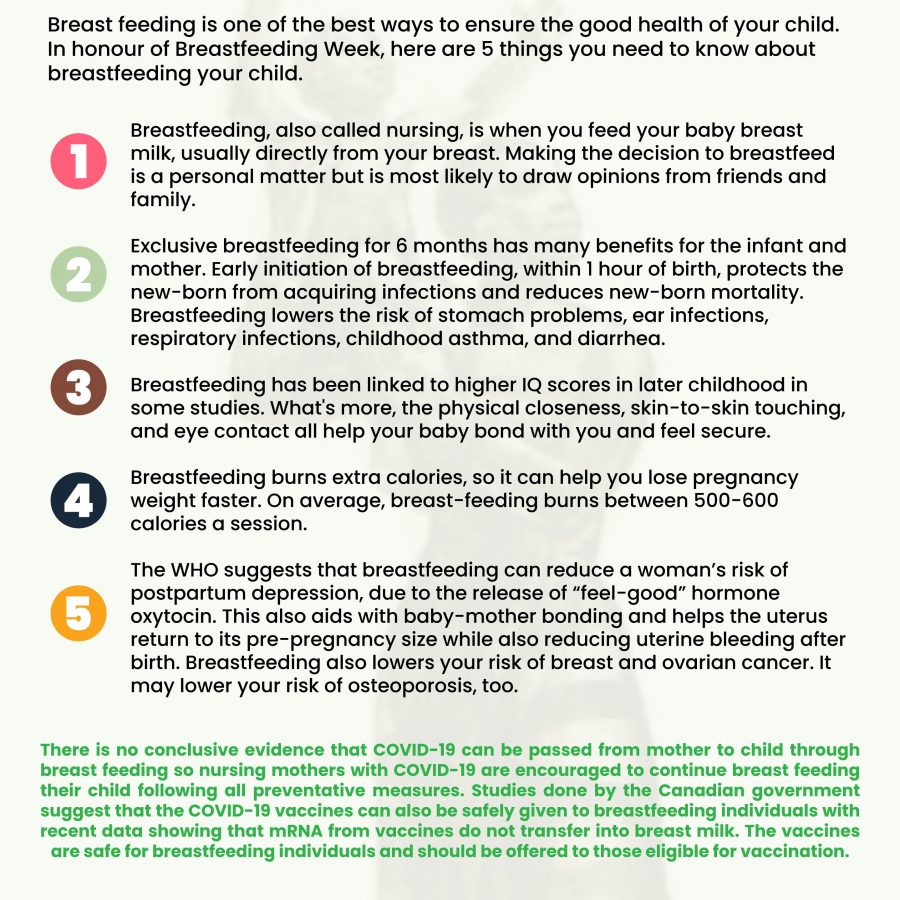 Breastfeeding Fact Sheet Nigeria Health Watch