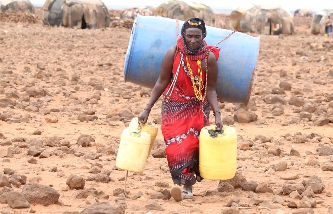 A pastoralist woman from Did Galgalo village trekked for a hundred kilometres in search of water during the 2021–2023 prolonged severe drought. Image Credit: Nigeria Health Watch